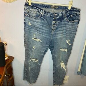 Torrid High Rise Jeans 22 Short